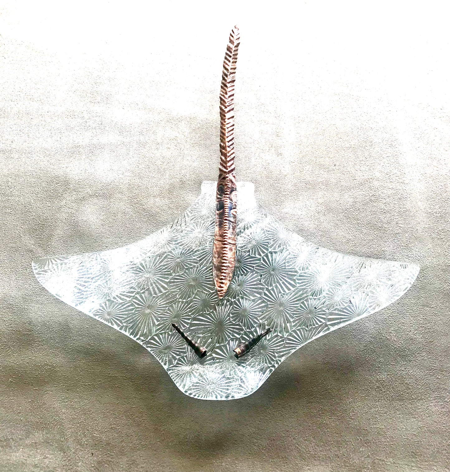 Whai ~ Stingray